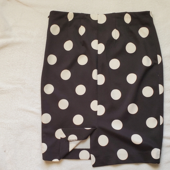 The Limited Polka Dot Skirt, Size 2 - Picture 3 of 3